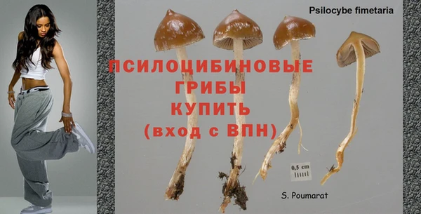 гашиш Алзамай