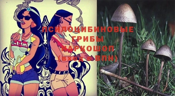 прущая мука Алексин