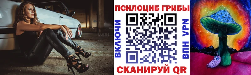 Галлюциногенные грибы Magic Shrooms  Купить где  Урень 